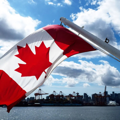 Top 5 Ways You Can Contribute to Canada’s Growth Through MCSWA’s Initiatives